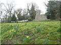 SO3289 : Bishops Castle mound 1 - Shropshire by Martin Richard Phelan