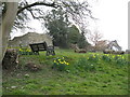 SO3289 : Bishops Castle mound 2 - Shropshire by Martin Richard Phelan