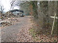 Logging activities by the footpath