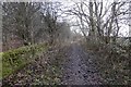 Path, Parkneuk