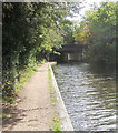 Grand Union Canal Walk