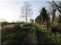 Gate at the end of Hopyard Lane