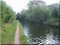 Grand Union Canal Walk