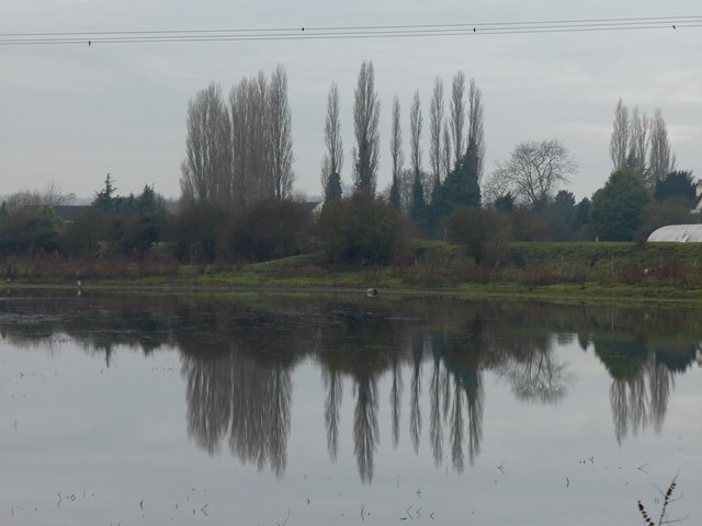 Poplar trees reflected in the Idle Washlands nature reserve