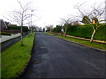H4672 : Pinewood Avenue, Omagh by Kenneth  Allen