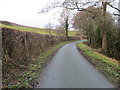 Hedged lane near Limpit Hill