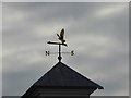 The weather vane on top of the Tesco superstore, Warndon