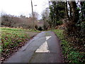 Llanerch Lane speed bump, Trinant