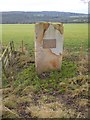 NY9165 : Marker stone on the River Tyne Trail by Oliver Dixon