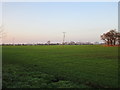 Warplands near Redhill Farm