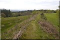 Hill fort, Wapley Hill