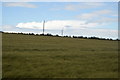 Field of Barley