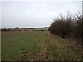 Footpath to Shipston on Stour