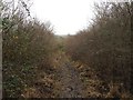 Footpath to Shipston on Stour