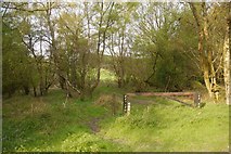 SO4771 : Path to Hanway Common by Richard Webb