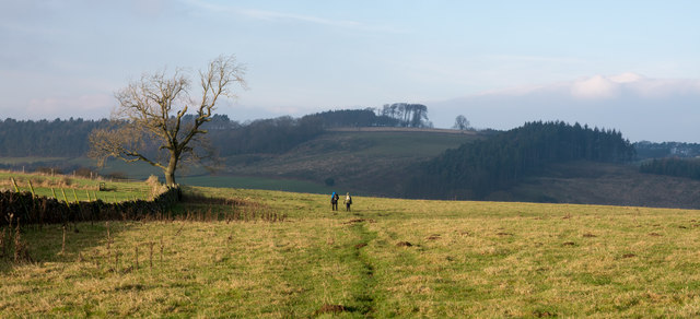 Walkers on path above valley of Aske Beck
