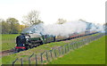ST8181 : 60163 Tornado, Badminton Line, Acton Turville, Gloucestershire 2012 by Ray Bird