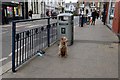 Whitstable High Street: "I seem to have been here for ages, are you coming yet?"