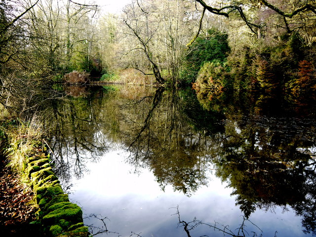 Wayford Woods Lake © Nigel Mykura :: Geograph Britain and Ireland