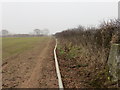 Field edge view at Blakeley Hill Triangulation Pillar