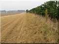 Field edge view from Cotwall Triangulation Pillar