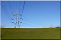 NT8738 : Pylon in pasture near Barelees farm by Russel Wills