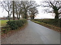 SJ3923 : Road from Wykey to Ruyton near Packwood Haugh by Peter Wood