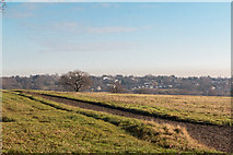 TQ2997 : Looking Towards Enfield from Field near Williams Wood by Christine Matthews