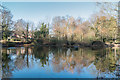 Pond Near Enfield Road, Enfield