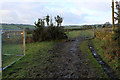 Muddy Track leading from West End Farm