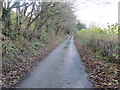 Road near Hen Allt