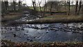 Meeting of Vicarage Burn and River Wansbeck, Wallington