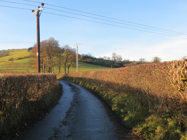 Hedge enclosed lane from Derwen-deg to Rhyleos