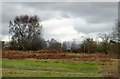 Penn Common in South Staffordshire