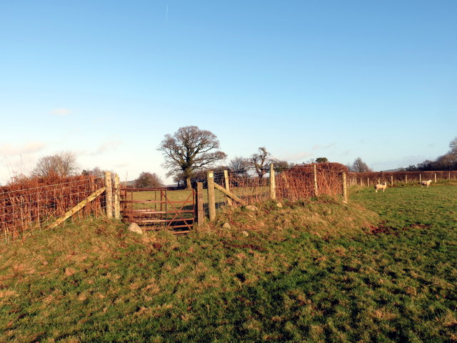 Llwybr Ffarm Bryngwyn / Bryngwyn Farm Path
