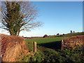 Llwybr Ffarm Bryngwyn / Bryngwyn Farm Path