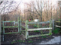 Footpath to Barker