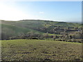 Upland view near Sarn, Powys