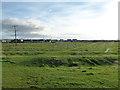 Ridge and furrow, Beadnell