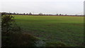 Farmland near Bulkington