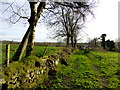 Disused lane, Drumnakilly