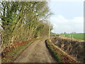 Footpath And Farmers Drive