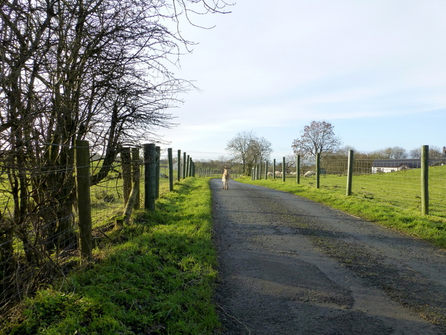 Cloghan Road, Drumnakilly