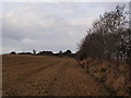 Field of stubble