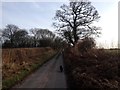 Marsh Road, Sherriffhales