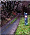 Private lane near the western end of Cwmcarn Forest Drive