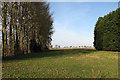 Cottenham: two fenland windbreaks