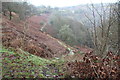 Hillside footpath above old mine, Crumlin