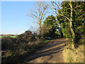 Bridleway to Warren Lodge