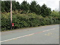 Queen Elizabeth II postbox on a wooden pole, Stapeley